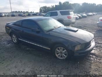  Salvage Ford Mustang