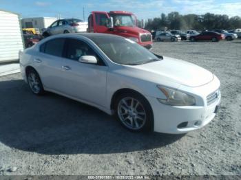  Salvage Nissan Maxima