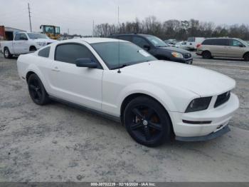  Salvage Ford Mustang