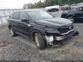  Salvage Kia Sorento