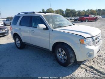  Salvage Ford Escape