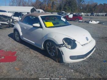  Salvage Volkswagen Beetle