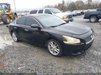  Salvage Nissan Maxima