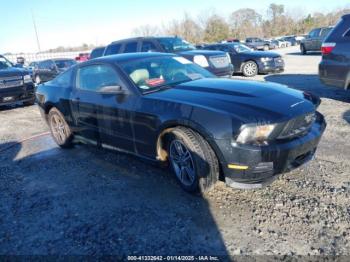  Salvage Ford Mustang