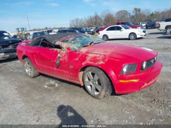  Salvage Ford Mustang