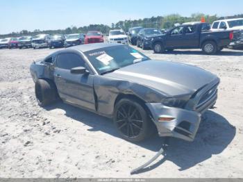  Salvage Ford Mustang