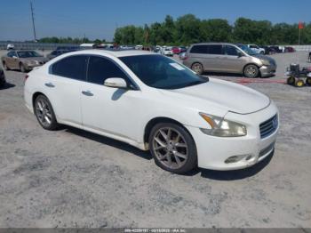  Salvage Nissan Maxima