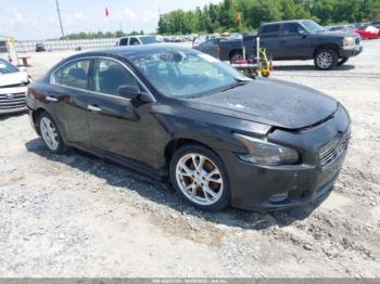 Salvage Nissan Maxima