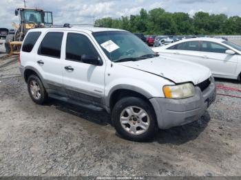  Salvage Ford Escape