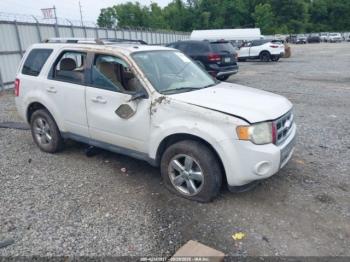  Salvage Ford Escape