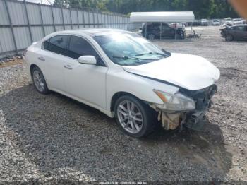  Salvage Nissan Maxima