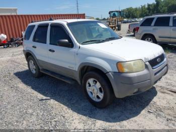  Salvage Ford Escape