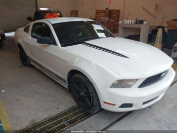  Salvage Ford Mustang