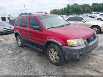  Salvage Ford Escape