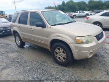  Salvage Ford Escape