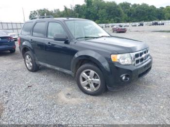  Salvage Ford Escape