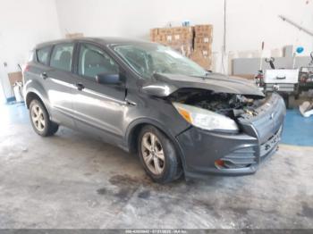  Salvage Ford Escape