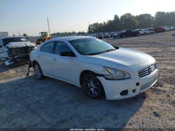  Salvage Nissan Maxima