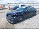 Toyota Camry Se Image 10