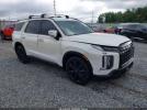 Hyundai PALISADE Xrt Image 1