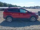Ford Escape Titanium Image 12