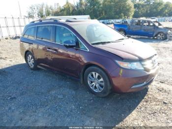 Salvage Honda Odyssey