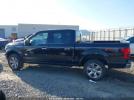 Ford F-150 King Ranch Image 16