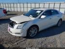 Cadillac XTS Luxury Image 5