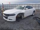 Dodge Charger Image 2