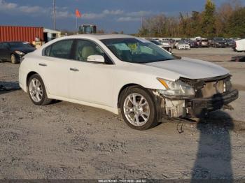  Salvage Nissan Maxima