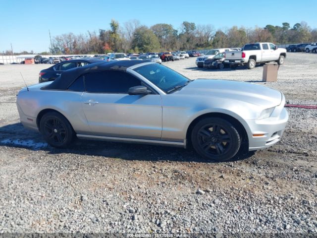 Ford Mustang V6 Image 9