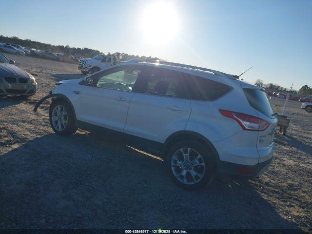 Ford Escape Titanium Image 3