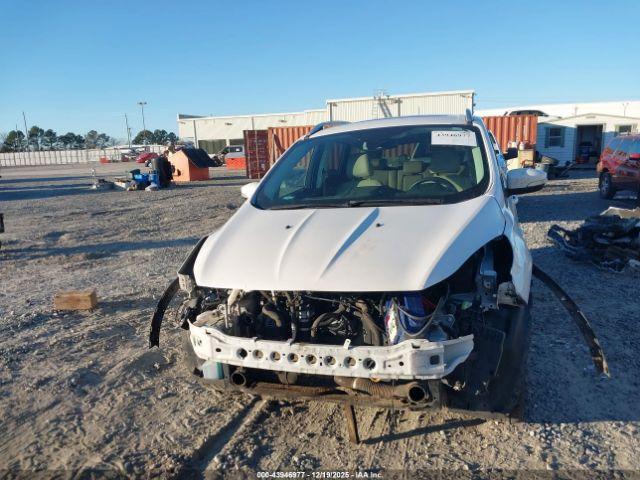 Ford Escape Titanium Image 4